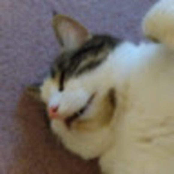 Meet your Posher, Sheenyin - Picture 1 of 1